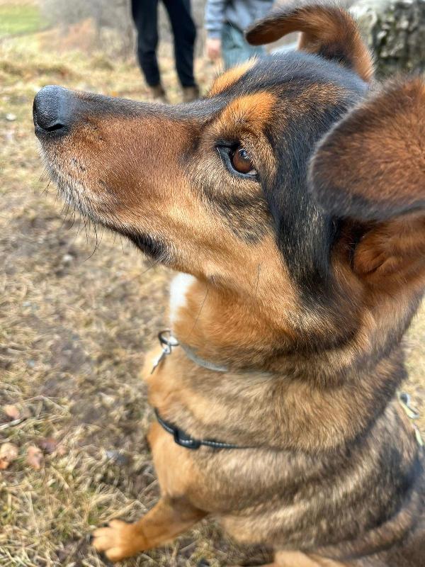 Zeus